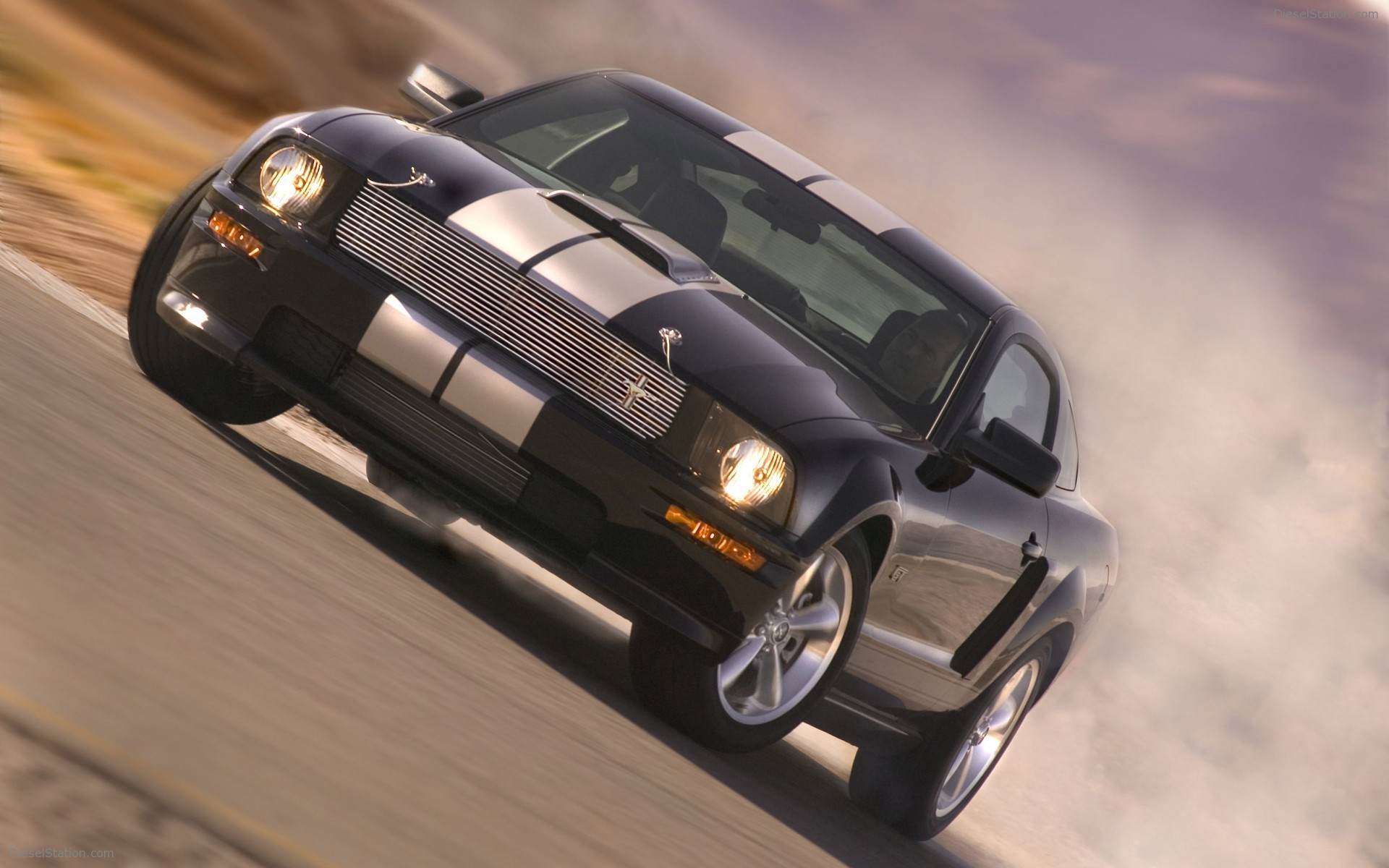 Ford Shelby GT